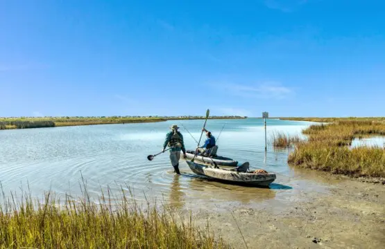 a7a456bf b289 4bbc a38d 304a34020fdf.jpg