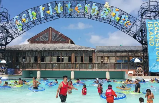 d1057955 b906 43ca 9859 4e2055b99ea1.jpg