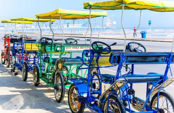 8e8ddb39 d1ec 4969 8e2a 6959ecb5ee4b.jpg